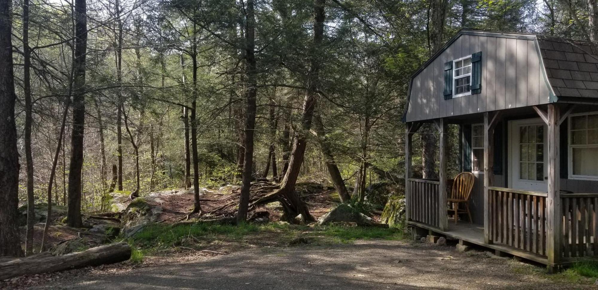 Abrams Creek Campground Mount Storm Buitenkant foto