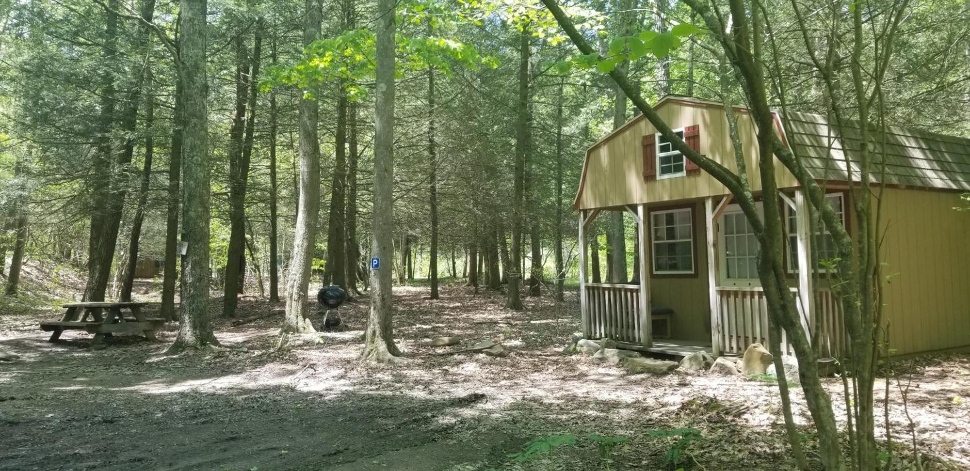 Abrams Creek Campground Mount Storm Buitenkant foto