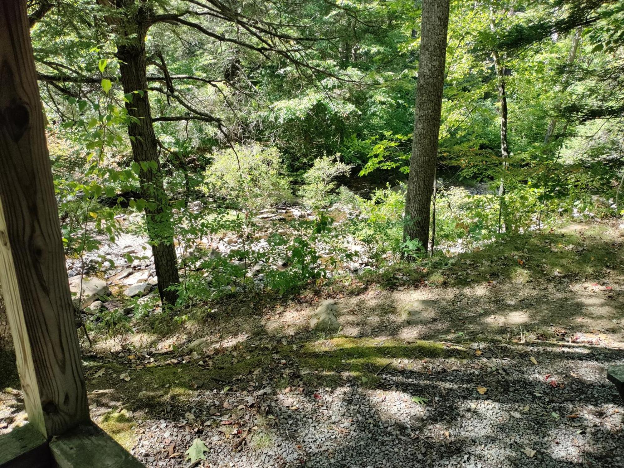 Abrams Creek Campground Mount Storm Buitenkant foto