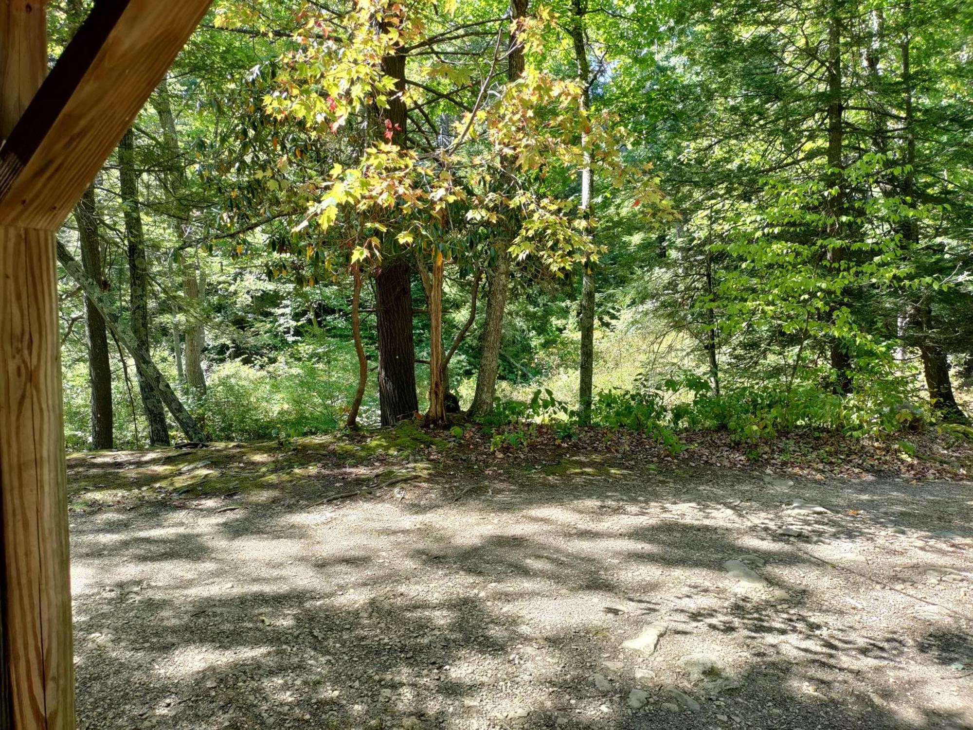 Abrams Creek Campground Mount Storm Buitenkant foto