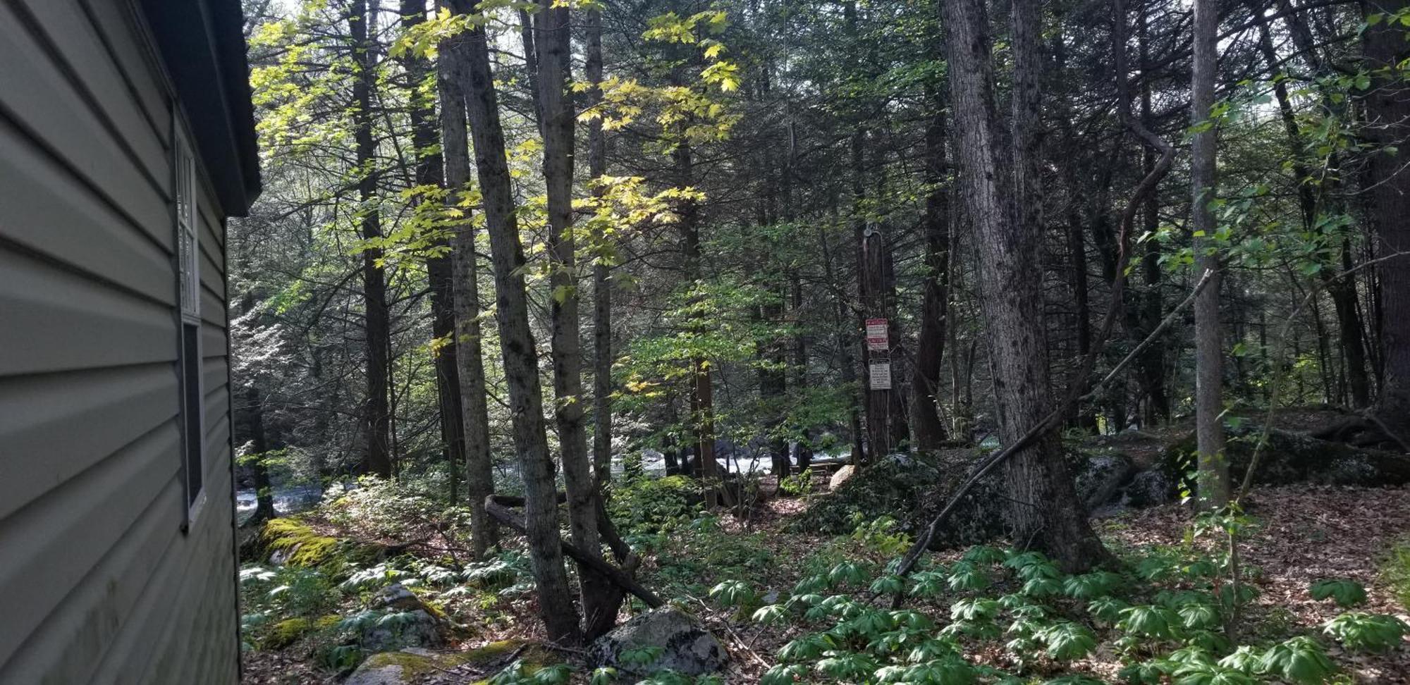 Abrams Creek Campground Mount Storm Buitenkant foto