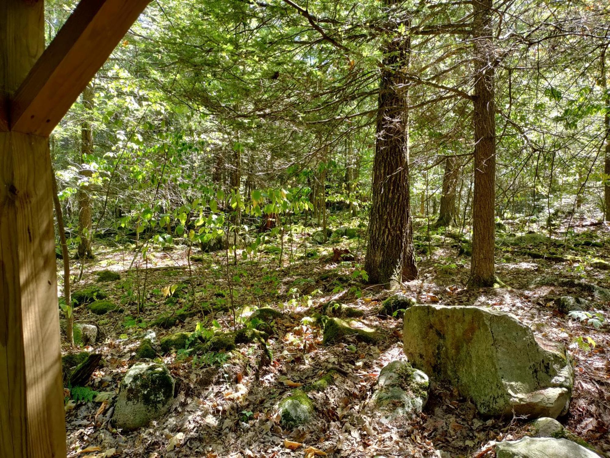 Abrams Creek Campground Mount Storm Buitenkant foto