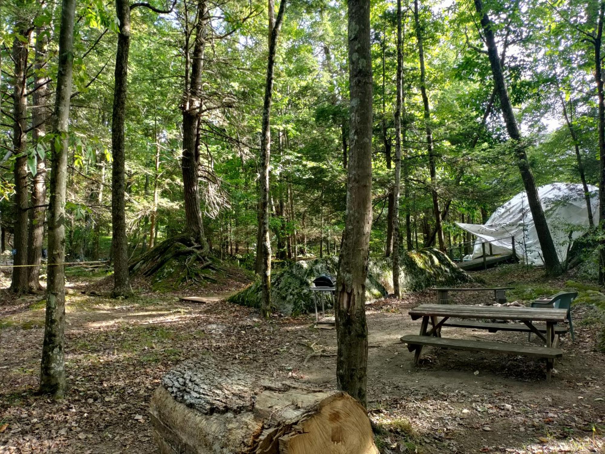 Abrams Creek Campground Mount Storm Buitenkant foto