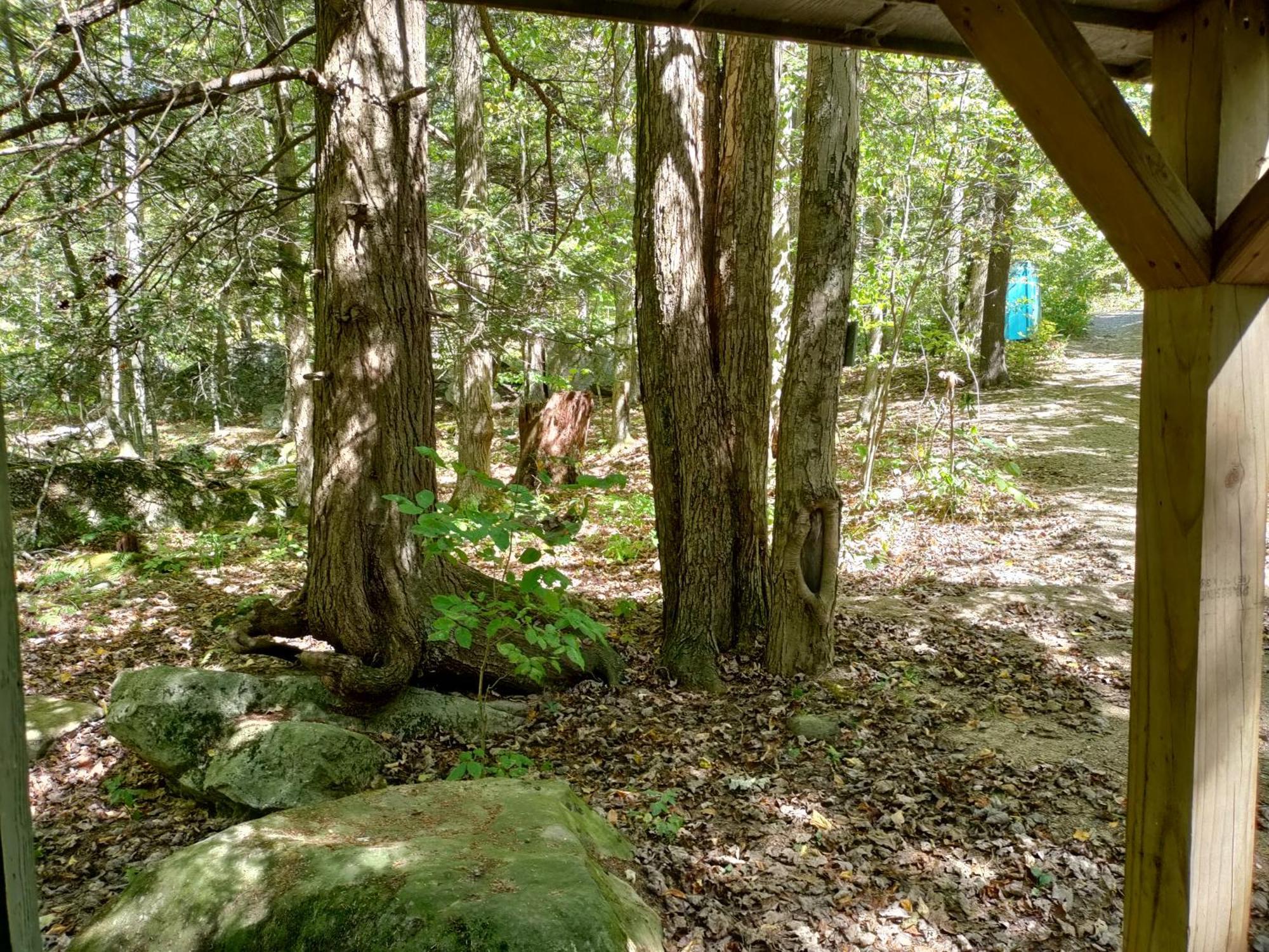 Abrams Creek Campground Mount Storm Buitenkant foto